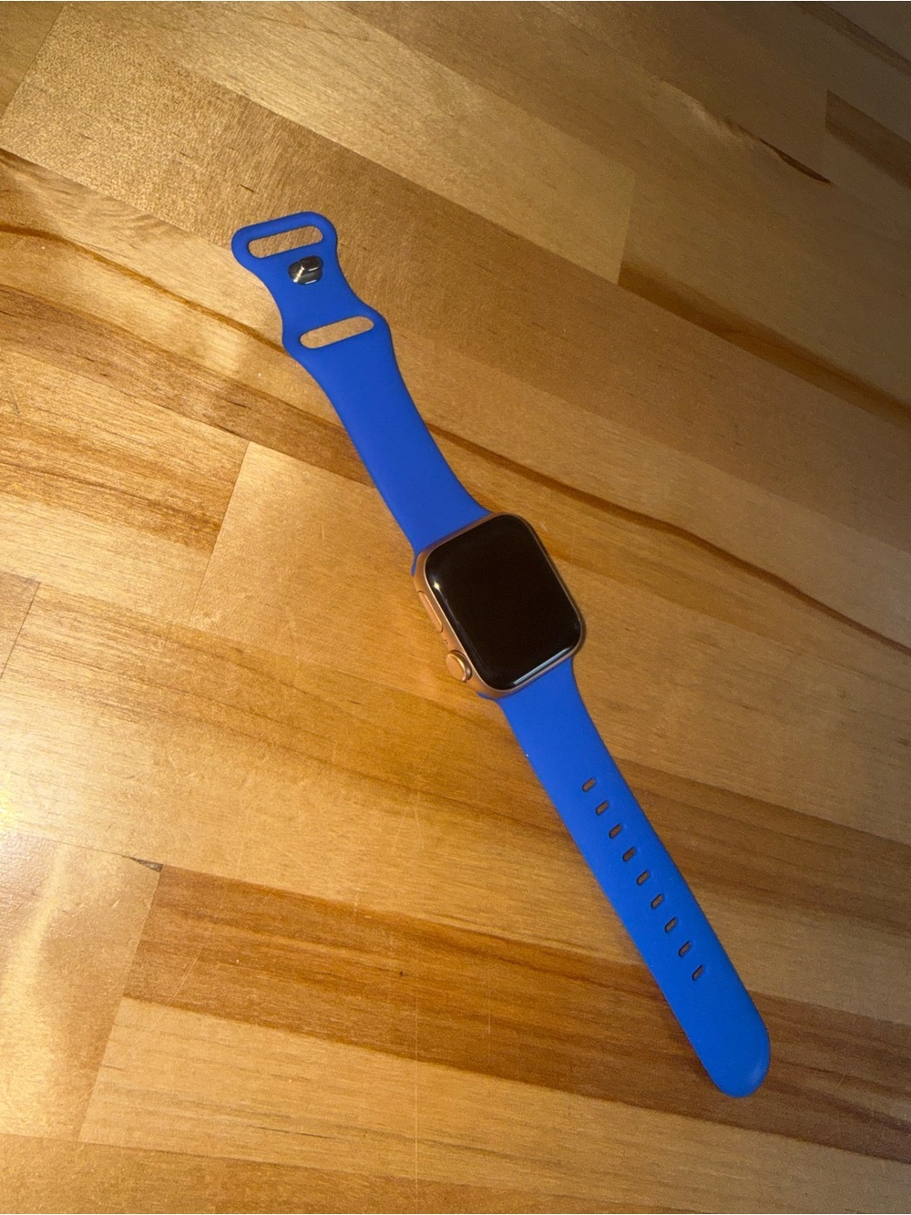Apple Watch SE watchOS 10.6.2 40mm Blue Silicone Band with charger